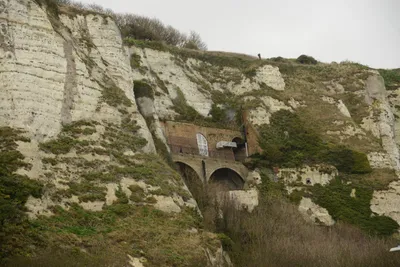 DSC_1286 (Large).JPG